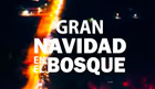 Tainyloops @ Christmas Xmas Navidad ASAP WORLD TOUR